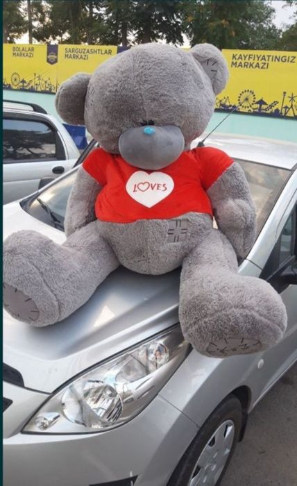 Teddy ayiqchalar Teddi teddi orginal xitoy