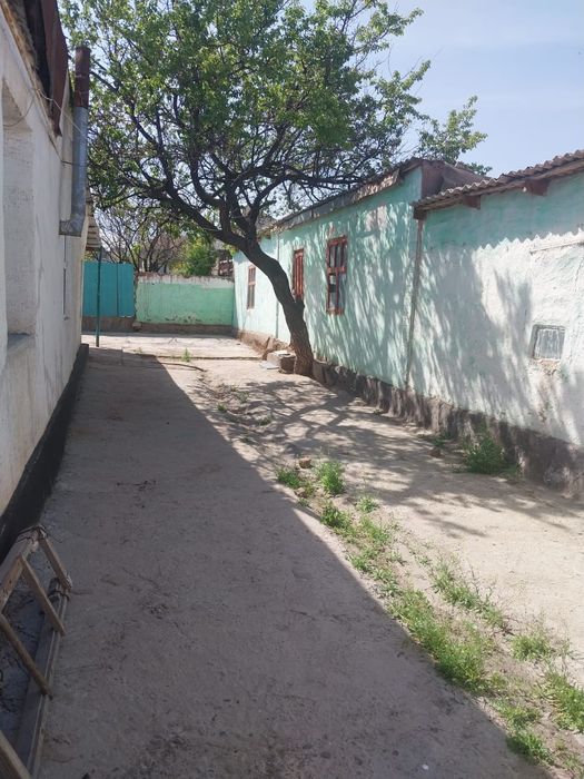 Уй сатылады Базарбай ауылында