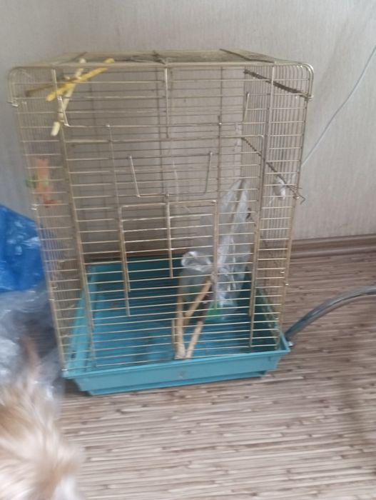 Клетка для птиц в хорошем состоянии
