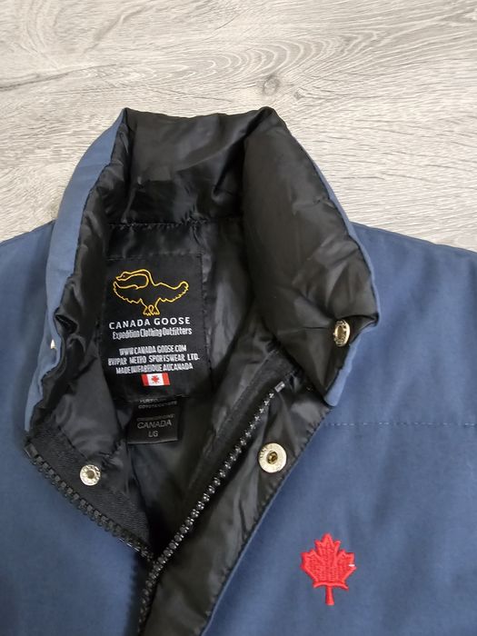 Vesta barbati Canada Goose