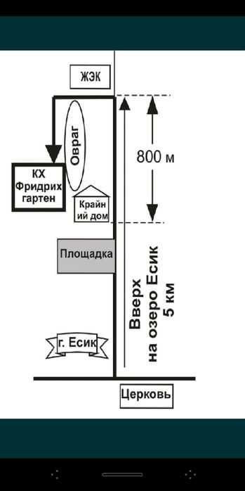 Черешни плодоносящие, Черешни крупномеры Алматы и область
