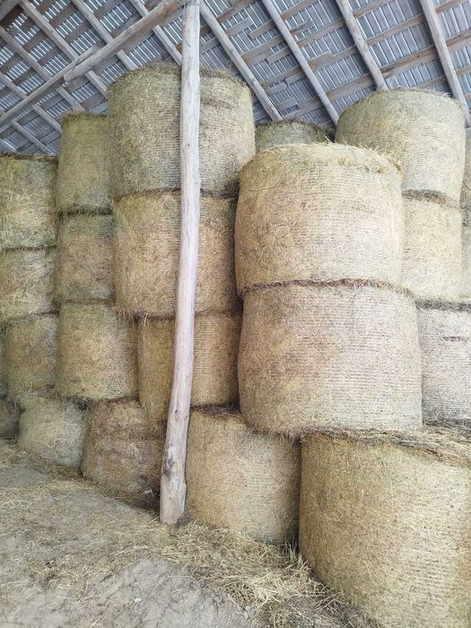 Vând baloți lucernă și lucernă cu fân