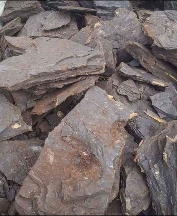 Carbune lignit pentru centrale termice