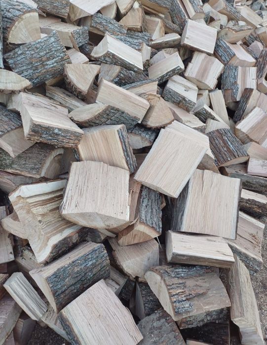 Stejar uscat sau verde