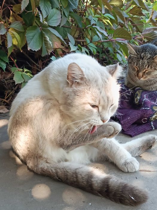 !!!СПАС ЖИЗНЬ Кто то…