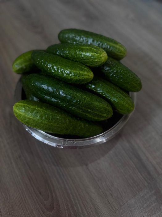 Продам домашние огурцы