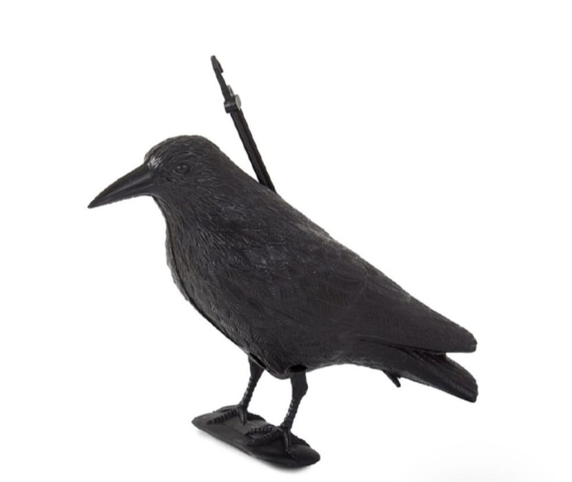 Sperietoare Corb pentru păsări