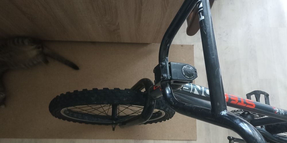 Bmx tech team 2023