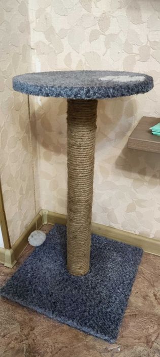 Когтеточка для кота