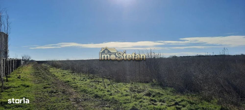 Teren Intravilan Vama Veche | 7.495 mp | Oportunitate Investiție