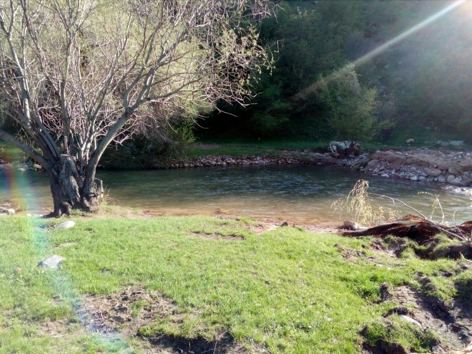 Земельный участок под бизнес