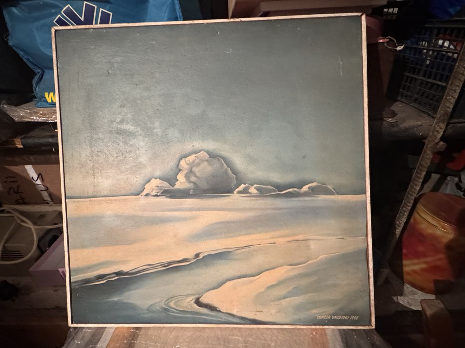 Tablou cu peisaj polar Mircea Vaideanu