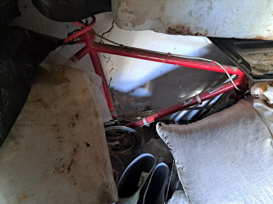 Bicicletă pentru decor plante