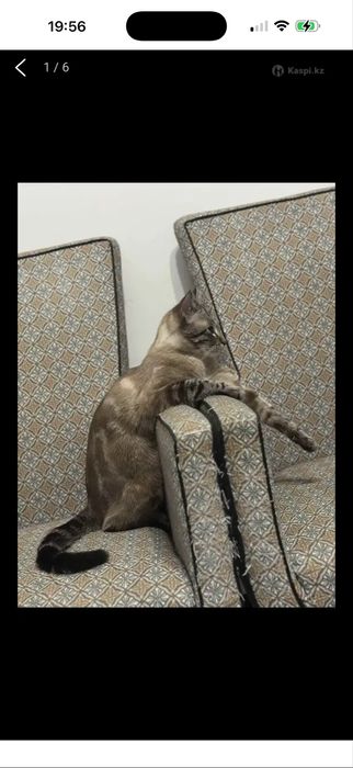 Кресло очень удобное