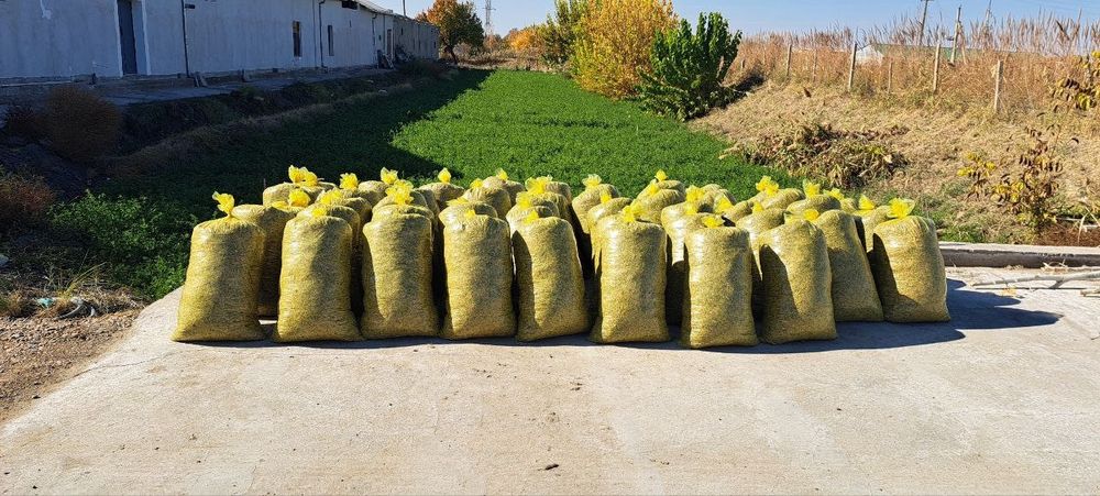 Silos sotiladi kg 1200 so'm