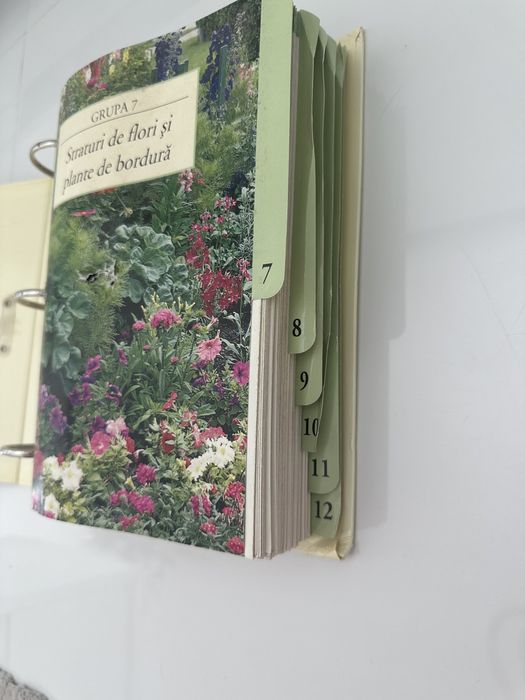 Gradinarit in orice anotimp