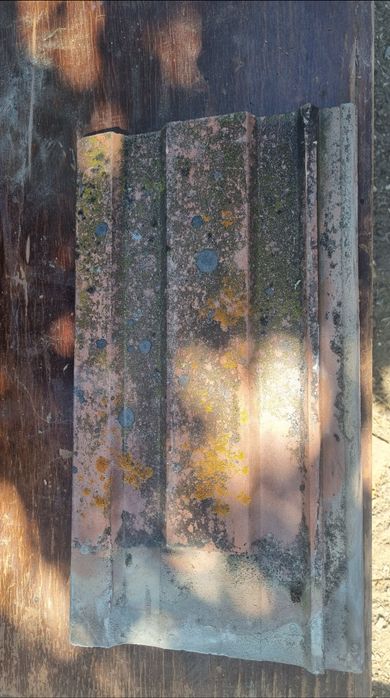 Tigle in stare buna jimbolia, Hercules, tarnava