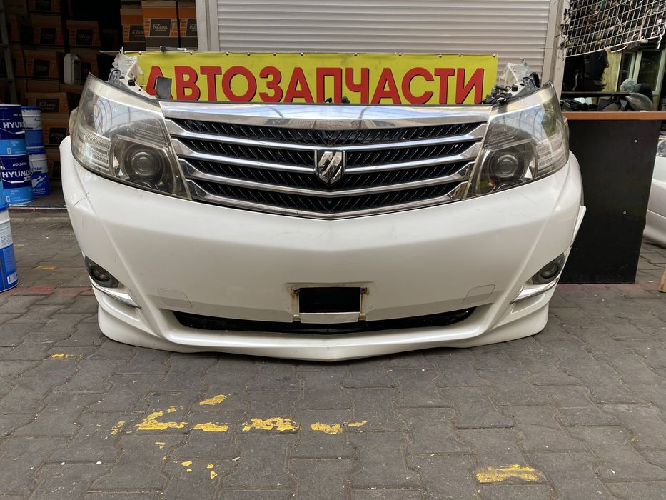 Ноускат Альфард