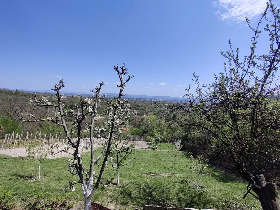 Вила в местност Чашка