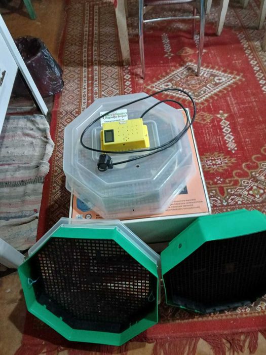 Incubator electric termostatat