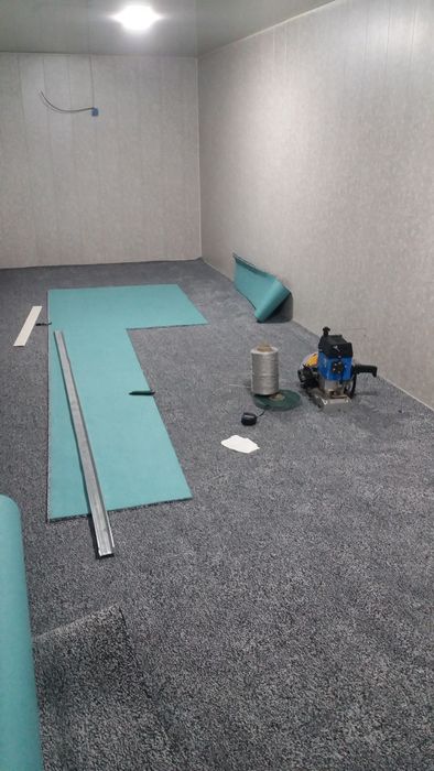 Gilam tikish (lentali professional)