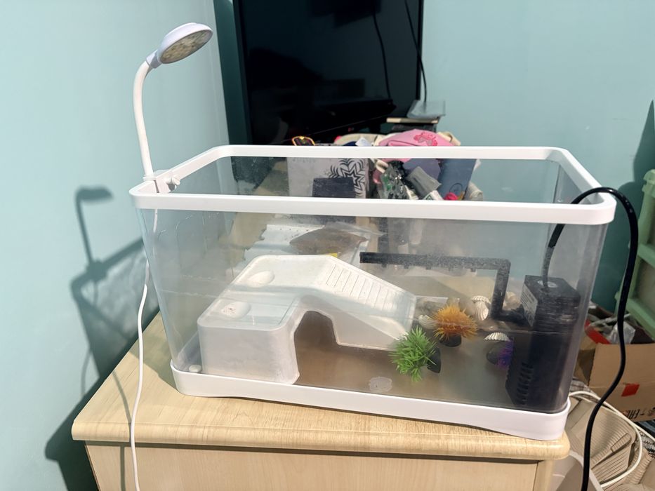 Аквариум для черепах рыб