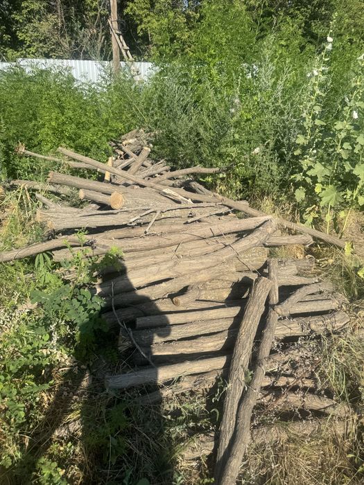 Дрова карагач продам