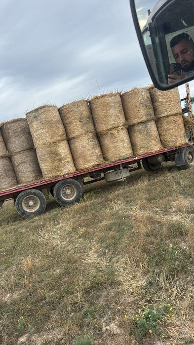 Vindem fan la tir vă duceam finu la fermă preț avantajos