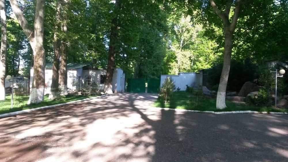 Чирчик. Участок. Роща Чинар 95-Соток  под любой вид деятельности.