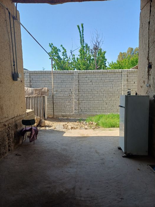 Келес беш кургон 1.5сутих