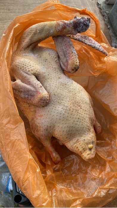 Продам Индауток чищеные