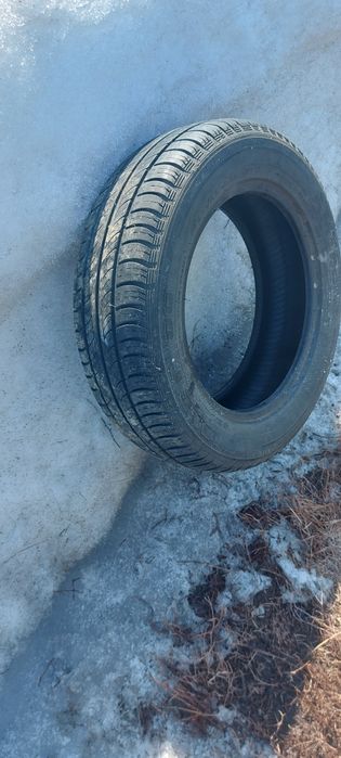Шины легковые и внедорожные