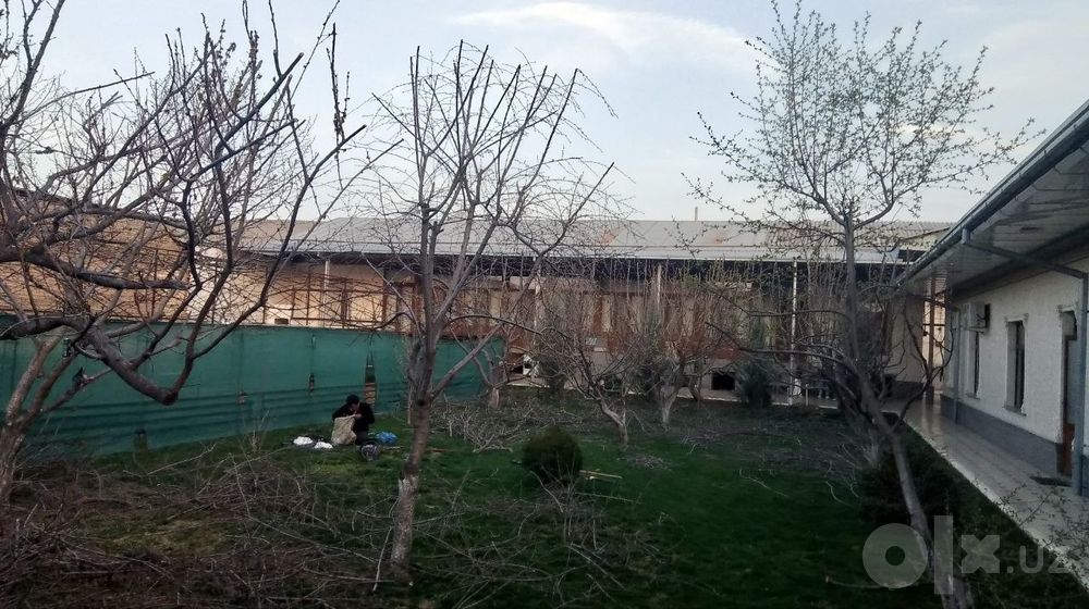 Toshkent shahar bo'ylab daraxt kesish abreska qilish xizmati