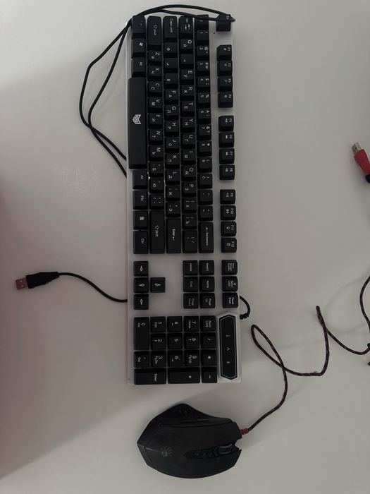 клавиатура и мышь