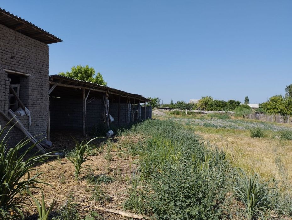 Uy sotiladi 16 sotik