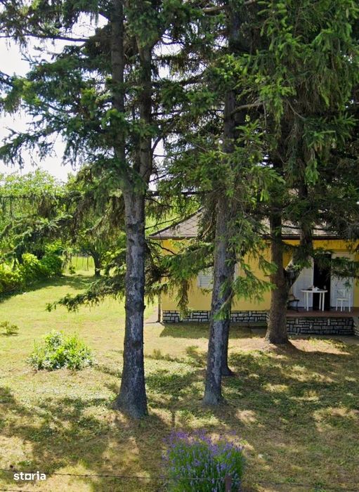 Panoramă eternă asupra Balatonului