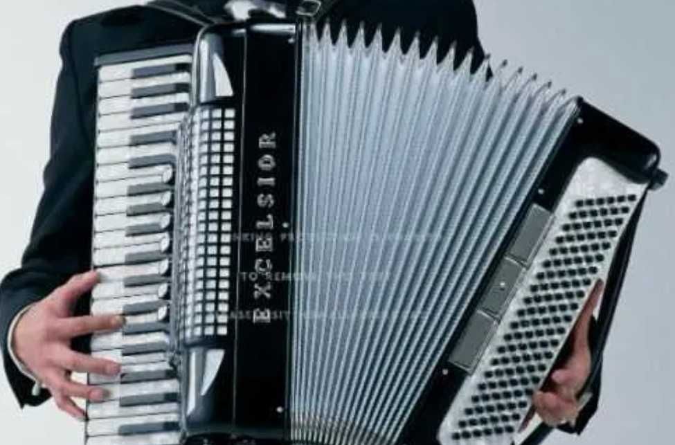 Acordeonist Lautar Nunta Petrecere Zona Tecuci Galati Vrancea