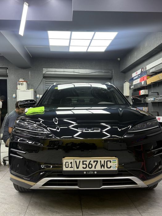 Byd chempion smart 605km