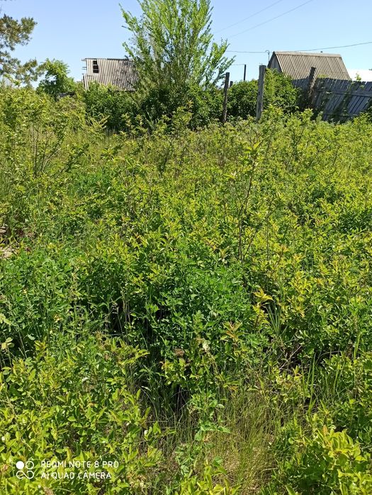 Дачный участок ПКСТ  "Автомобилист"