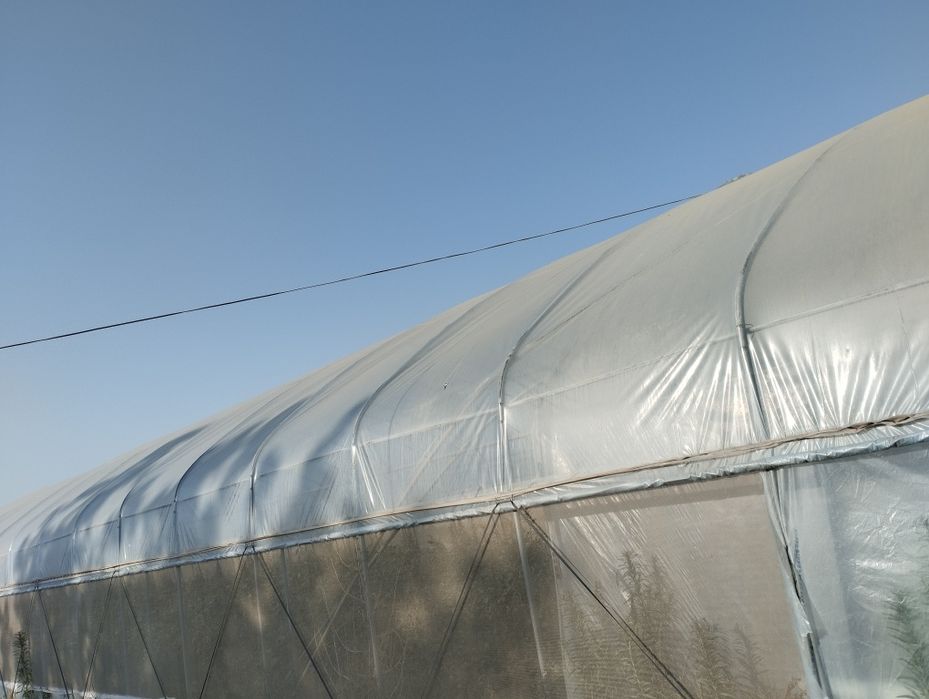 kareski 2 qavatli termiz xolatta buladi