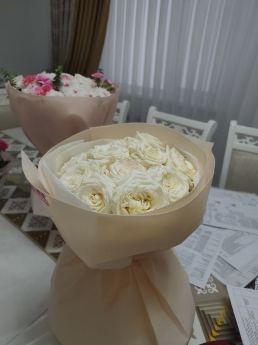 Гул сатылады  арзан багада