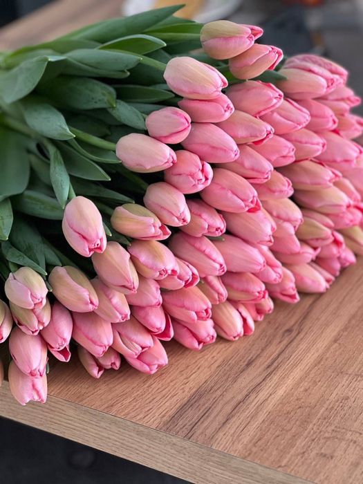 Предзаказ на тюльпаны