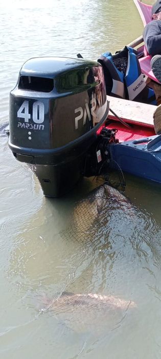 Парсун-40 2024г.в