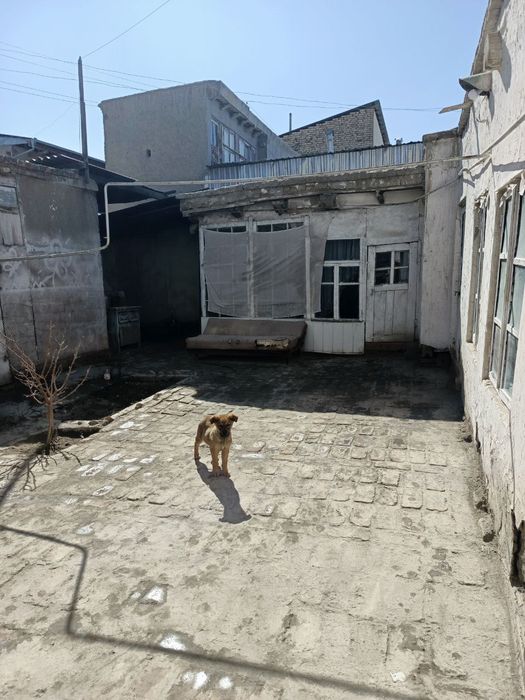 Уй ховлича. Ески Шахар