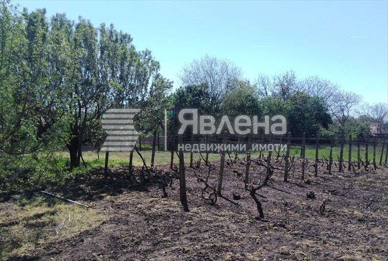 Къща с голям двор