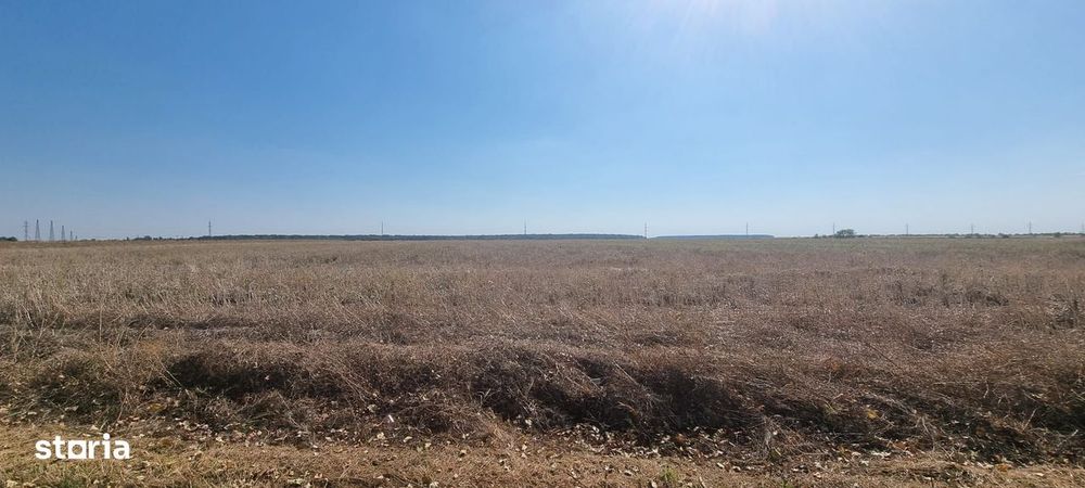 Oportunitate de investitie | Teren intravilan de vanzare | 10.000 mp