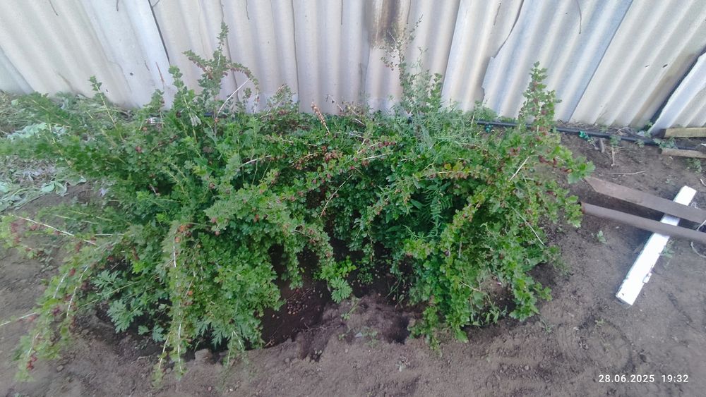 Продам дачу конца сезон на СОЮЗ