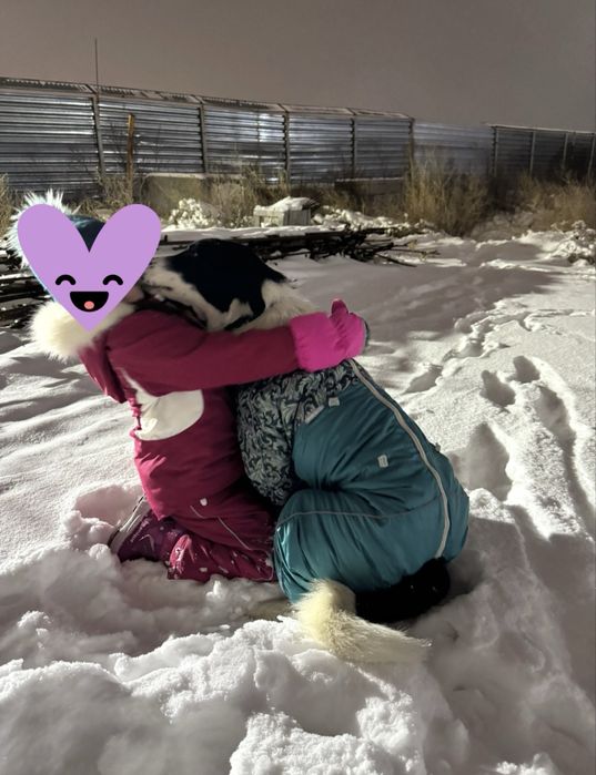 В самые добрые руки Актос и Бэлла!