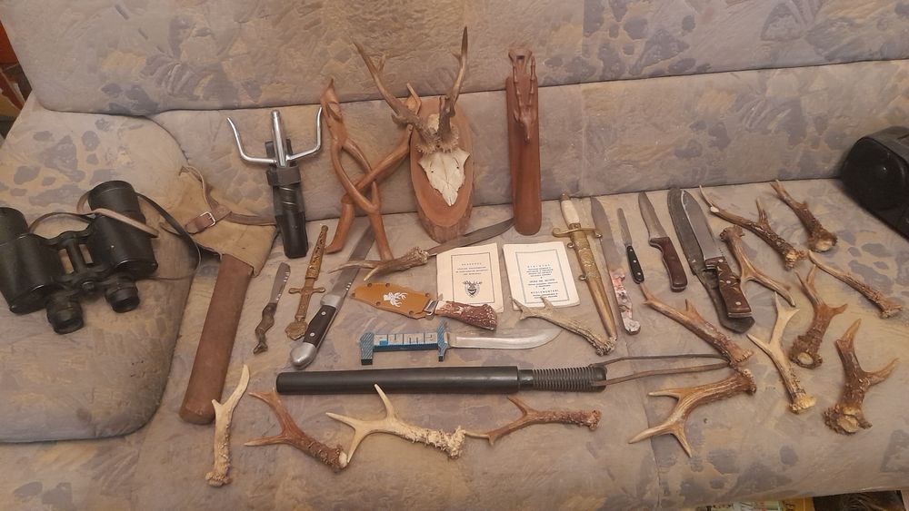 Cornite de caprior..