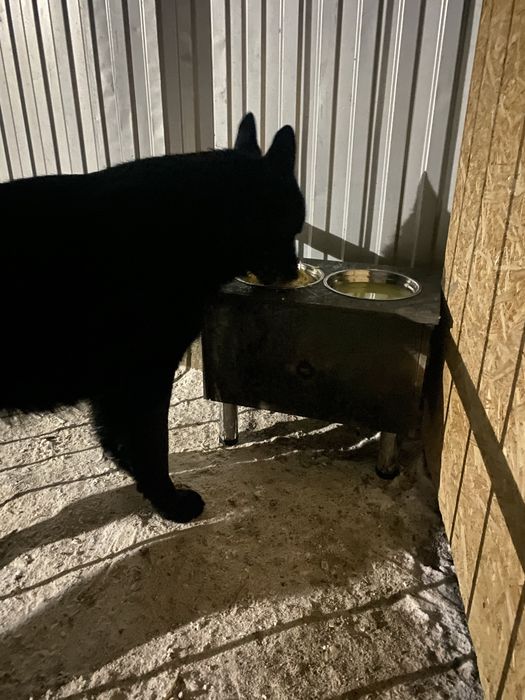 Вязка Кабель 6 лет. Бесплатно.